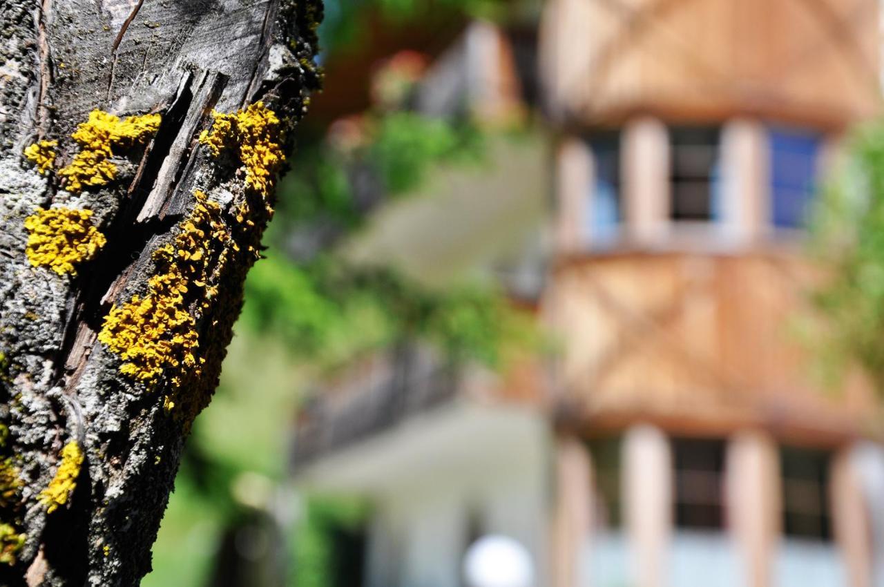 Guesthouse Rungg Badia (South Tyrol) Exterior foto
